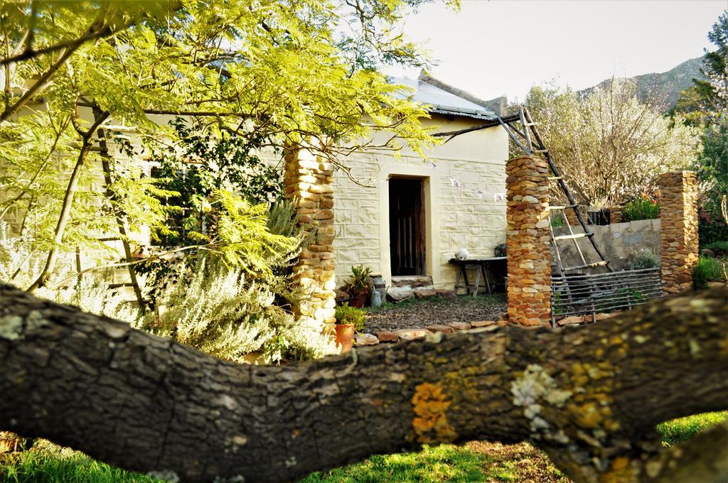 Bethany Farm Twee Riviere Exterior photo